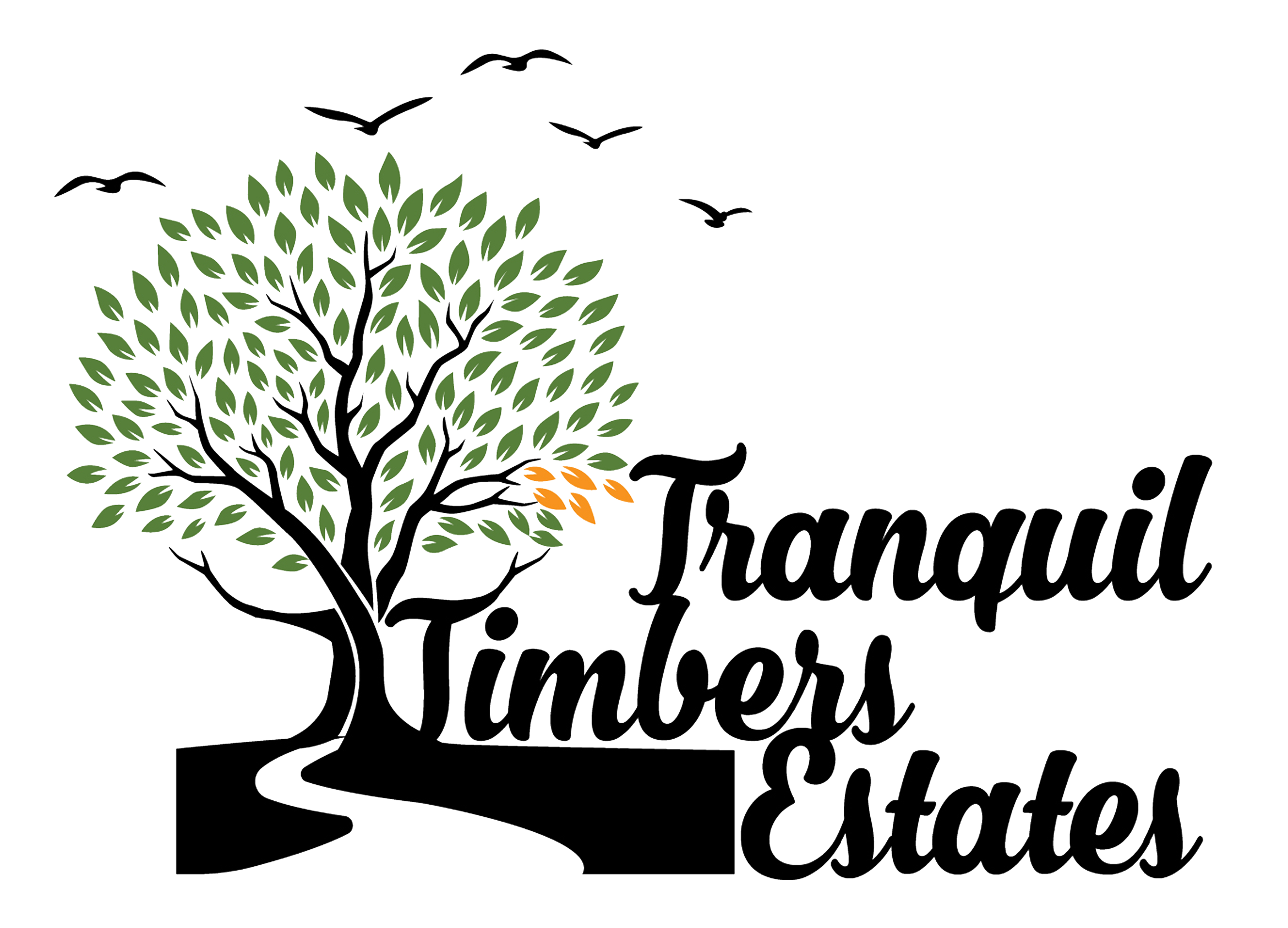 Traditional Homes and Introducing Multi-Generational Single Family Homes to Memphis